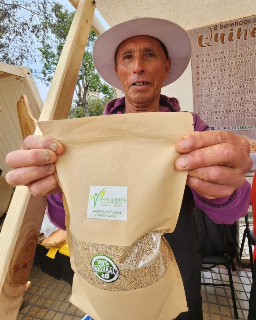 En lllapel Bartolomé Leiva apuesta por la producción de quinoa 100 natural Radio San Joaquín