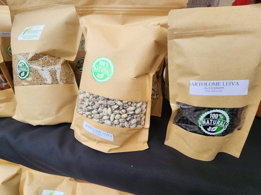 En lllapel Bartolomé Leiva apuesta por la producción de quinoa 100 natural Radio San Joaquín